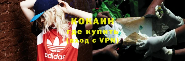 ALPHA PVP Богородицк