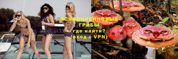 кокаин Каменка