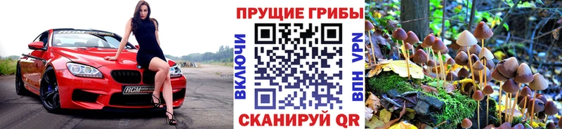 Галлюциногенные грибы Magic Shrooms  Дмитриев 