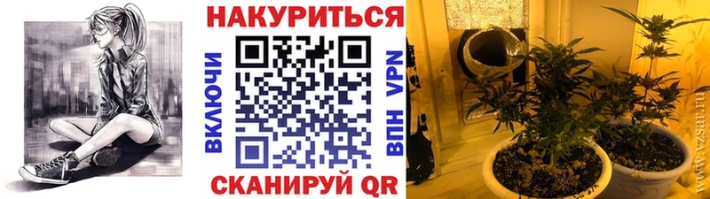 darknet наркотические препараты  Дмитриев  Каннабис MAZAR 